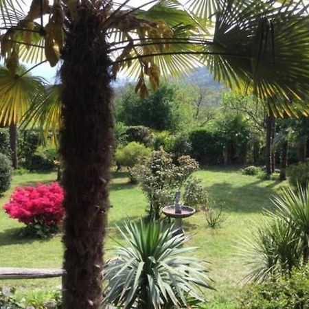 """Casa Elena -Tegna"" Die Ruheoase In Grossem Garten" 외부 사진