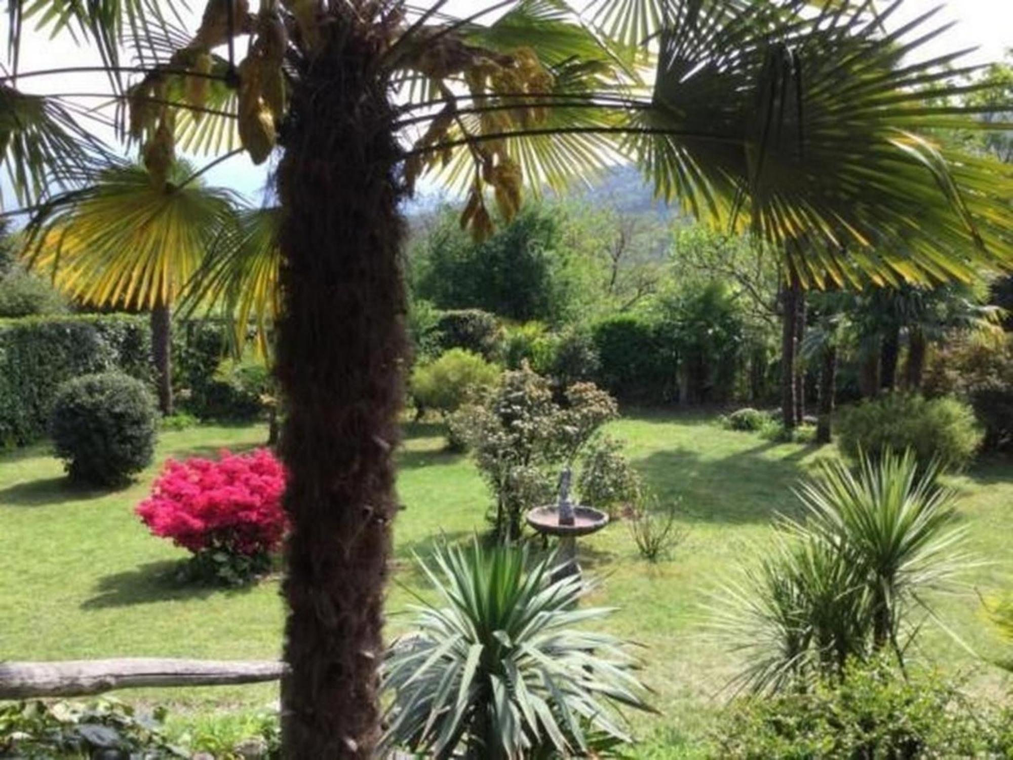 """Casa Elena -Tegna"" Die Ruheoase In Grossem Garten" 외부 사진